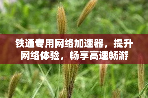 铁通专用网络加速器，提升网络体验，畅享高速畅游