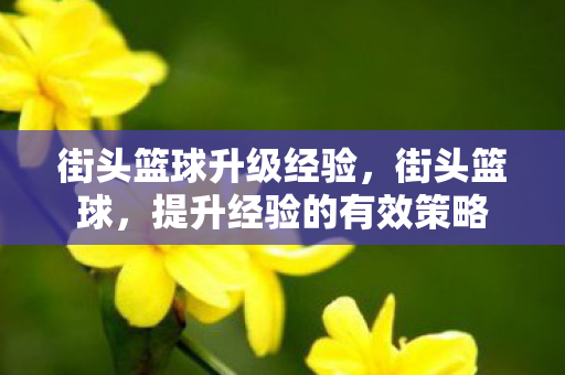 街头篮球升级经验，街头篮球，提升经验的有效策略