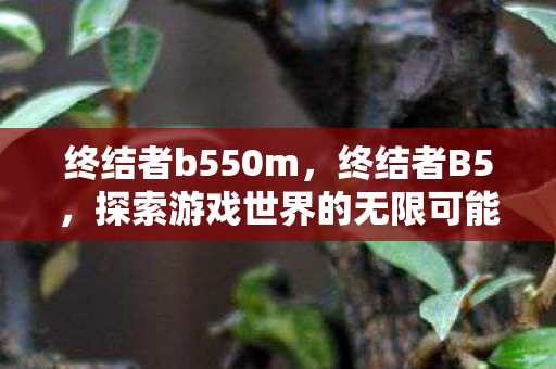 终结者b550m,终结者B5,探索游戏世界的无限可能 终结者b550m,终结者B5,探索游戏世界的无限可能