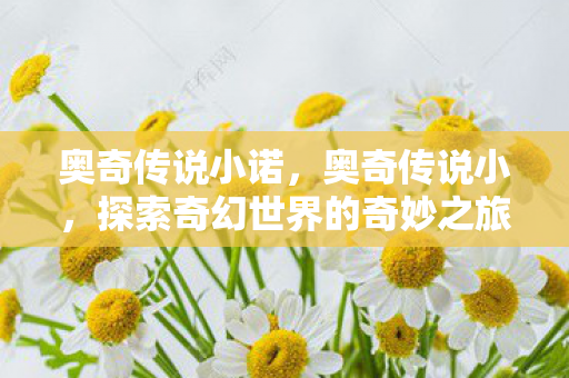 奥奇传说小诺,奥奇传说小,探索奇幻世界的奇妙之旅 奥奇传说小诺,奥奇传说小,探索奇幻世界的奇妙之旅