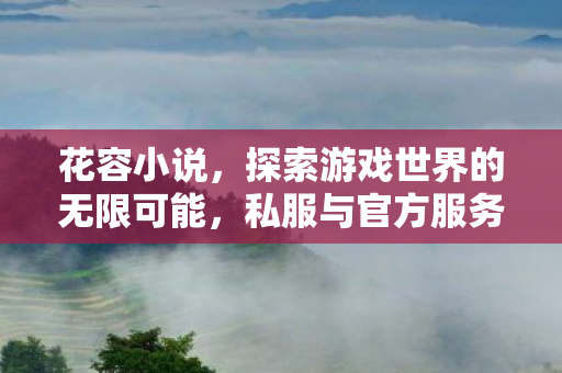 花容小说,探索游戏世界的无限可能,私服与官方服务器的独特魅力 花容小说,探索游戏世界的无限可能,私服与官方服务器的独特魅力