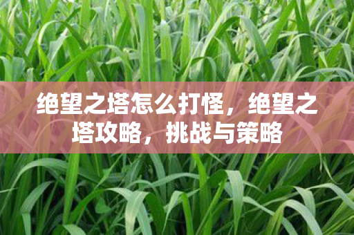 绝望之塔怎么打怪,绝望之塔攻略,挑战与策略 绝望之塔怎么打怪,绝望之塔攻略,挑战与策略