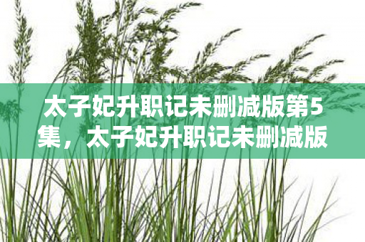 太子妃升职记未删减版第5集，太子妃升职记未删减版，宫廷权谋与情感纠葛的极致演绎