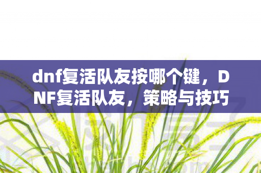 dnf复活队友按哪个键,DNF复活队友,策略与技巧的深度剖析 dnf复活队友按哪个键,DNF复活队友,策略与技巧的深度剖析