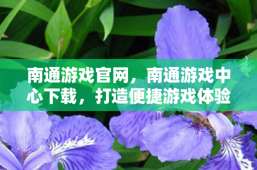南通游戏官网，南通游戏中心下载，打造便捷游戏体验的优选平台