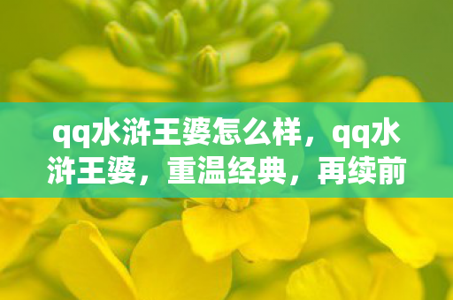 qq水浒王婆怎么样，qq水浒王婆，重温经典，再续前缘