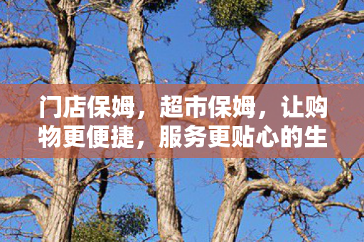 门店保姆，超市保姆，让购物更便捷，服务更贴心的生活助手