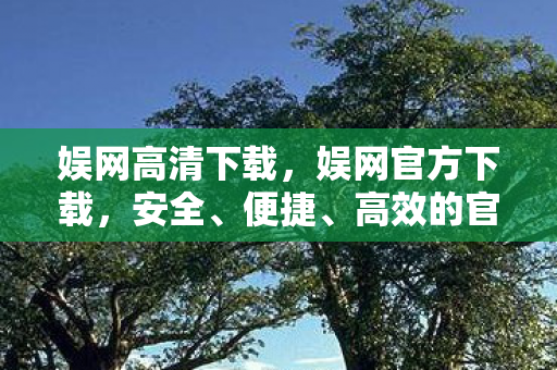 娱网高清下载,娱网官方下载,安全、便捷、高效的官方下载体验 娱网高清下载,娱网官方下载,安全、便捷、高效的官方下载体验