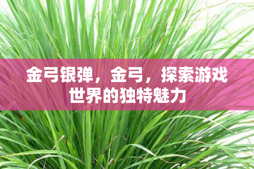 金弓银弹，金弓，探索游戏世界的独特魅力
