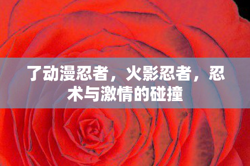 了动漫忍者,火影忍者,忍术与激情的碰撞 了动漫忍者,火影忍者,忍术与激情的碰撞
