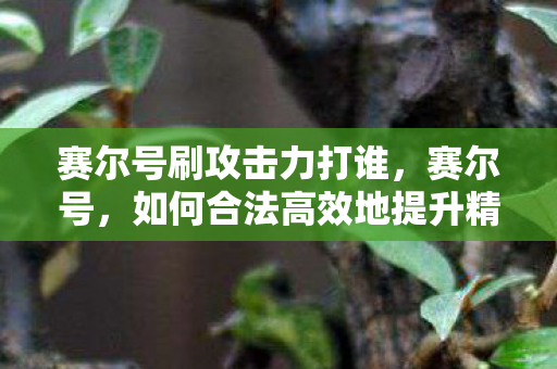 赛尔号刷攻击力打谁,赛尔号,如何合法高效地提升精灵攻击 赛尔号刷攻击力打谁,赛尔号,如何合法高效地提升精灵攻击