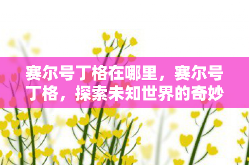 赛尔号丁格在哪里,赛尔号丁格,探索未知世界的奇妙冒险 赛尔号丁格在哪里,赛尔号丁格,探索未知世界的奇妙冒险