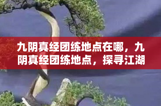 九阴真经团练地点在哪,九阴真经团练地点,探寻江湖中的修炼圣地 九阴真经团练地点在哪,九阴真经团练地点,探寻江湖中的修炼圣地