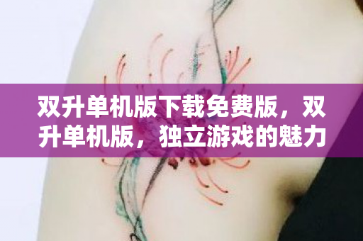 双升单机版下载免费版，双升单机版，独立游戏的魅力与自由体验