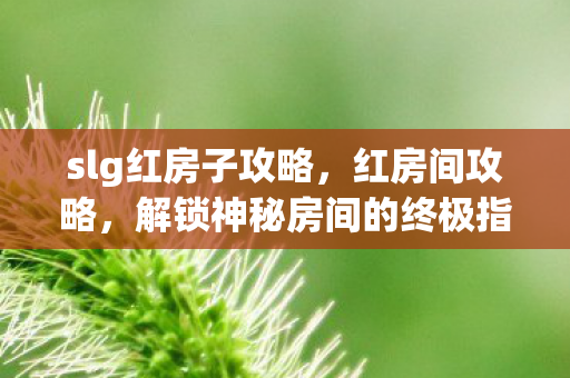 slg红房子攻略,红房间攻略,解锁神秘房间的终极指南 slg红房子攻略,红房间攻略,解锁神秘房间的终极指南