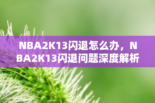 NBA2K13闪退怎么办，NBA2K13闪退问题深度解析与解决方案
