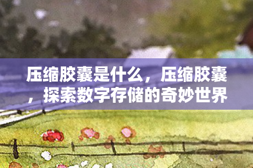 压缩胶囊是什么，压缩胶囊，探索数字存储的奇妙世界