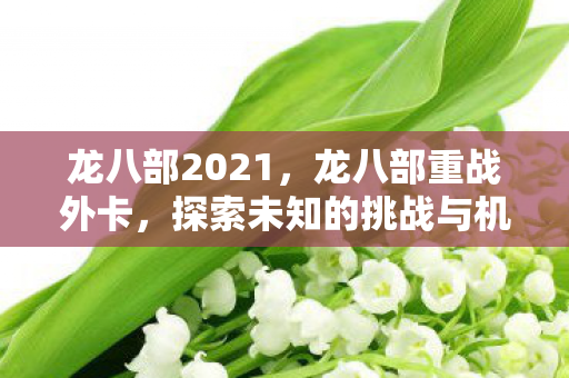 龙八部2021,龙八部重战外卡,探索未知的挑战与机遇 龙八部2021,龙八部重战外卡,探索未知的挑战与机遇