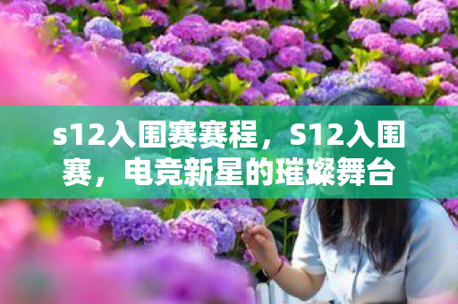 s12入围赛赛程,S12入围赛,电竞新星的璀璨舞台 s12入围赛赛程,S12入围赛,电竞新星的璀璨舞台