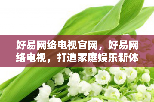 好易网络电视官网,好易网络电视,打造家庭娱乐新体验 好易网络电视官网,好易网络电视,打造家庭娱乐新体验