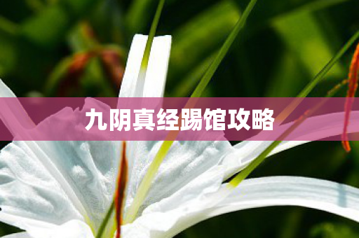 九阴真经踢馆攻略 九阴真经踢馆攻略