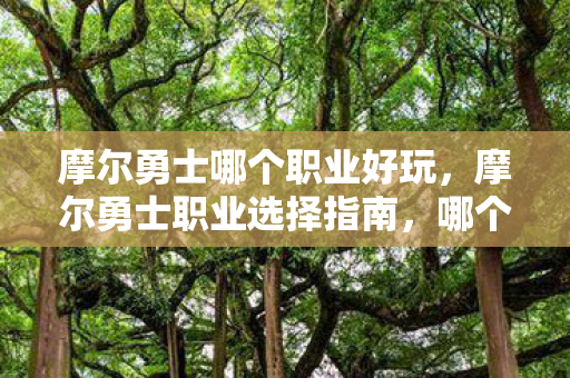 摩尔勇士哪个职业好玩,摩尔勇士职业选择指南,哪个职业最适合你? 摩尔勇士哪个职业好玩,摩尔勇士职业选择指南,哪个职业最适合你?