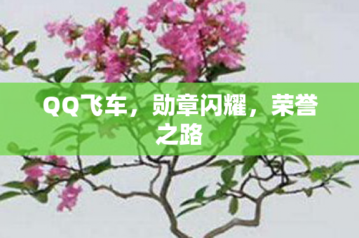 QQ飞车,勋章闪耀,荣誉之路 QQ飞车,勋章闪耀,荣誉之路