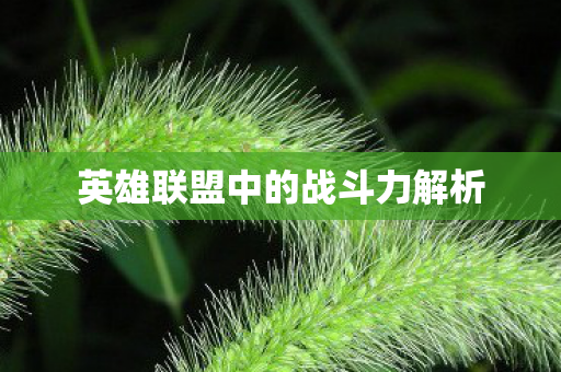 英雄联盟中的战斗力解析 英雄联盟中的战斗力解析