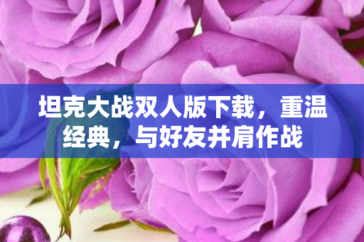 坦克大战双人版下载，重温经典，与好友并肩作战