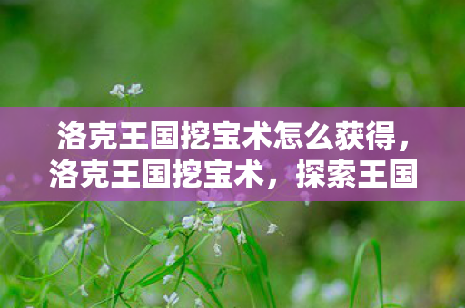 洛克王国挖宝术怎么获得，洛克王国挖宝术，探索王国宝藏的奇妙之旅