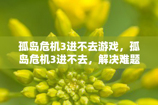 孤岛危机3进不去游戏,孤岛危机3进不去,解决难题与游戏优化指南 孤岛危机3进不去游戏,孤岛危机3进不去,解决难题与游戏优化指南