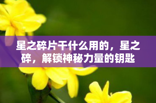 星之碎片干什么用的,星之碎,解锁神秘力量的钥匙 星之碎片干什么用的,星之碎,解锁神秘力量的钥匙