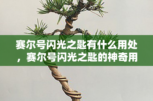 赛尔号闪光之匙有什么用处，赛尔号闪光之匙的神奇用途
