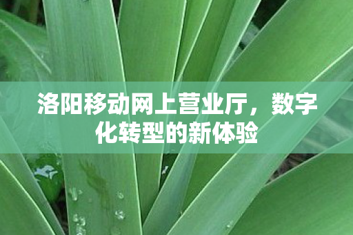 洛阳移动网上营业厅,数字化转型的新体验 洛阳移动网上营业厅,数字化转型的新体验