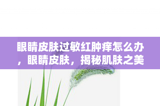 眼睛皮肤过敏红肿痒怎么办，眼睛皮肤，揭秘肌肤之美的奥秘