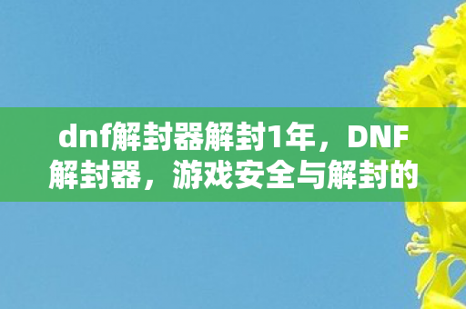 dnf解封器解封1年，DNF解封器，游戏安全与解封的灰色边缘