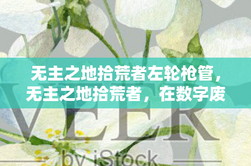 无主之地拾荒者左轮枪管，无主之地拾荒者，在数字废墟中寻找遗失的宝藏