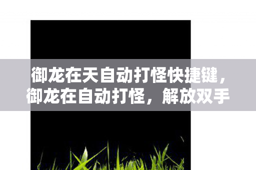 御龙在天自动打怪快捷键,御龙在自动打怪,解放双手,享受游戏乐趣 御龙在天自动打怪快捷键,御龙在自动打怪,解放双手,享受游戏乐趣