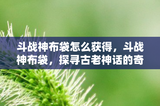 斗战神布袋怎么获得,斗战神布袋,探寻古老神话的奇妙之旅 斗战神布袋怎么获得,斗战神布袋,探寻古老神话的奇妙之旅