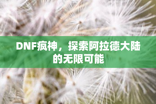 DNF疯神，探索阿拉德大陆的无限可能