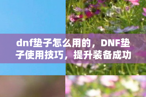 dnf垫子怎么用的,DNF垫子使用技巧,提升装备成功率的关键 dnf垫子怎么用的,DNF垫子使用技巧,提升装备成功率的关键
