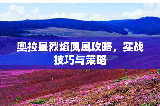 奥拉星烈焰凤凰攻略,实战技巧与策略 奥拉星烈焰凤凰攻略,实战技巧与策略