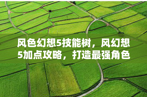 风色幻想5技能树，风幻想5加点攻略，打造最强角色，征服幻想世界