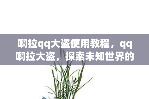 啊拉qq大盗使用教程,qq啊拉大盗,探索未知世界的奇妙之旅 啊拉qq大盗使用教程,qq啊拉大盗,探索未知世界的奇妙之旅