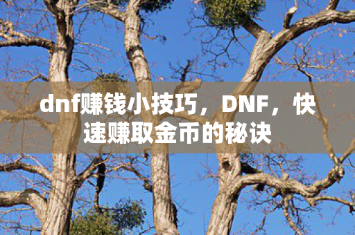 dnf赚钱小技巧,DNF,快速赚取金币的秘诀 dnf赚钱小技巧,DNF,快速赚取金币的秘诀