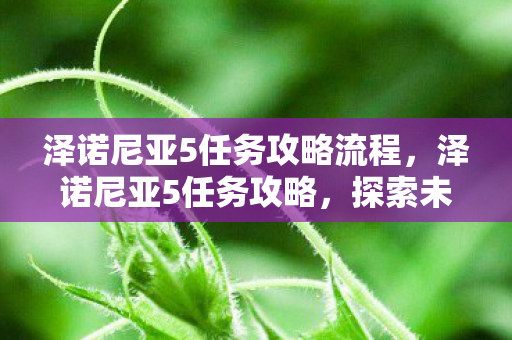 泽诺尼亚5任务攻略流程,泽诺尼亚5任务攻略,探索未知,挑战极限 泽诺尼亚5任务攻略流程,泽诺尼亚5任务攻略,探索未知,挑战极限