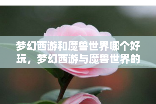 梦幻西游和魔兽世界哪个好玩，梦幻西游与魔兽世界的跨服探索，从经典到未来的游戏文化碰撞