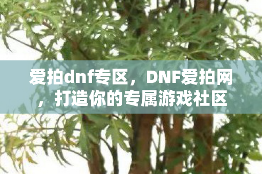 爱拍dnf专区,DNF爱拍网,打造你的专属游戏社区 爱拍dnf专区,DNF爱拍网,打造你的专属游戏社区