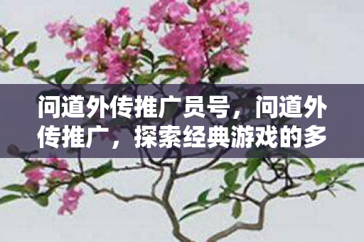 问道外传推广员号,问道外传推广,探索经典游戏的多元魅力 问道外传推广员号,问道外传推广,探索经典游戏的多元魅力