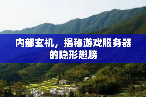 内部玄机,揭秘游戏服务器的隐形翅膀 内部玄机,揭秘游戏服务器的隐形翅膀
